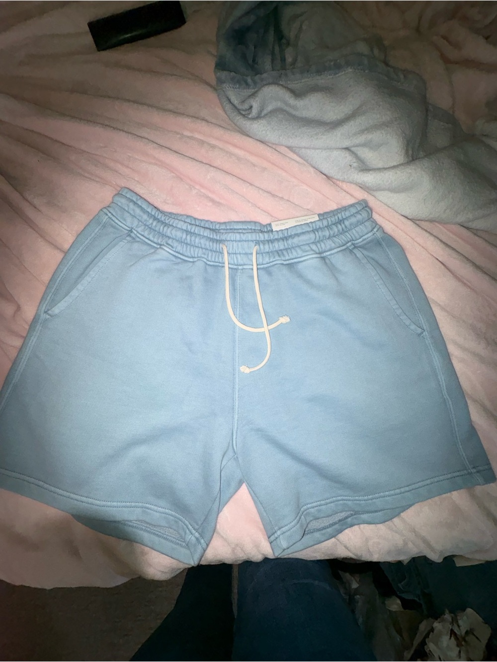 American Eagle Light Blue Cozy Fleece Shorts